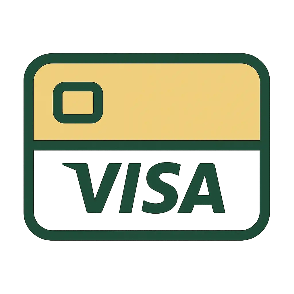 Visa payment icon